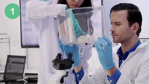 Why Do Medical Researchers Use Mice?