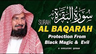 Surah Al Baqarah Full (سورة البقرة) | Deep Calming Recitation For Soft Sleep | Sheikh Sudais screenshot 5