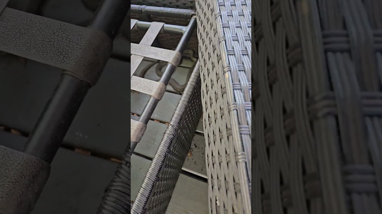 Found another snake. 