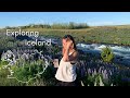 Golden Circle, Reykjadalur, Reykjanesbær I Living in Iceland I Vlog 38