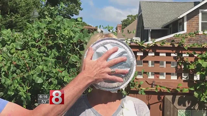 News 8's Ann Nyberg takes a pie in the face to hel...