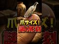 謎すぎる！4万年前の極小彫刻が凄い！ #考古学 #古代史 #人類史