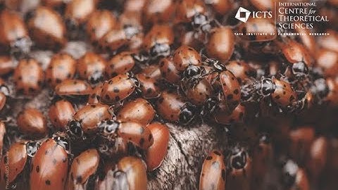 Problem set: Deterministic models by Kavita Jain