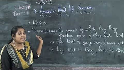 4 STD  SCIENCE –ANIMALSHOW LIFE GOES ON  PART 1