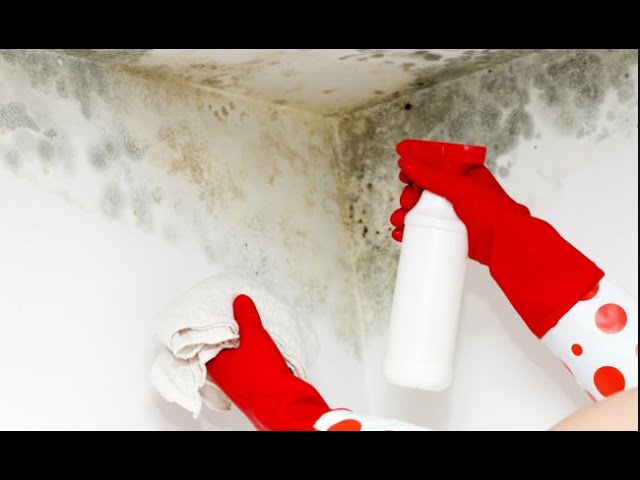 Como Limpiar hongos, MOHO y humedades. REMOVE MOLD. English subtitles 