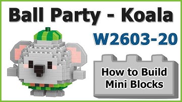 How to Build Mini Blocks Ball Party Koala W2603-20 Review Instructions Specifications