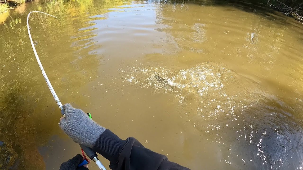 Fall River Smallmouth Bass Fishing !