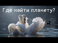 Где найти планету? | Давид Махмуд-Оглы