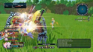 Cyberdimension Neptunia 4GO camera bug still not fixed