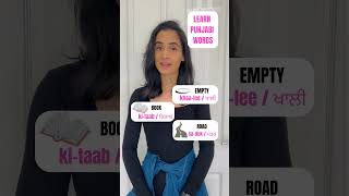 Punjabi Vocabulary