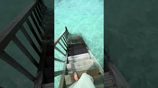 Зручність водних вілл у Saii Lagoon Maldives