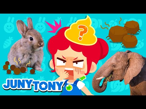 🐇 Kotoran Siapa Ini? | Lagu Binatang | Lagu Tentang Hewan | Lagu Anak | JunyTony Bahasa Indonesia