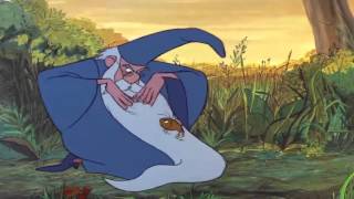 The Sword In The Stone - Merlin Transforms Wart Into Fish Hd