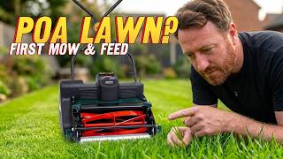 Overseeded Recently? HERE IS WHEN to Feed Your New Lawn! // Poa Supina First Mow