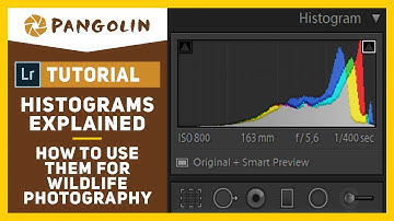 HISTOGRAMS Explained. How to use them when you edit your WILDLIFE PHOTOGRAPHY images.