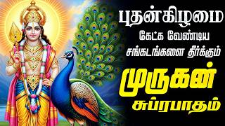 🔴LIVE SONGS | செவ்வாய்க்கிழமை கேட்க வேண்டிய முருகன் சுப்ரபாதம் Murugan Suprabatham Tamil Suprabhatam