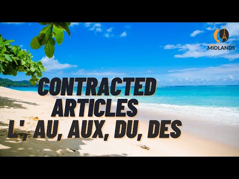 Статьи по контракту: l &rsquo;, au, aux, du, des