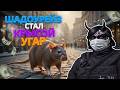 ШАДОУРЕЙЗ СТАЛ КРЫСОЙ ПОСЛЕ ПУША БАНКА В GTA 5 RP | MAJESTIC RP
