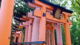 Exploring Japan #62 Hushimi Inari Taisha ( Kyoto ) #shrine #kyoto