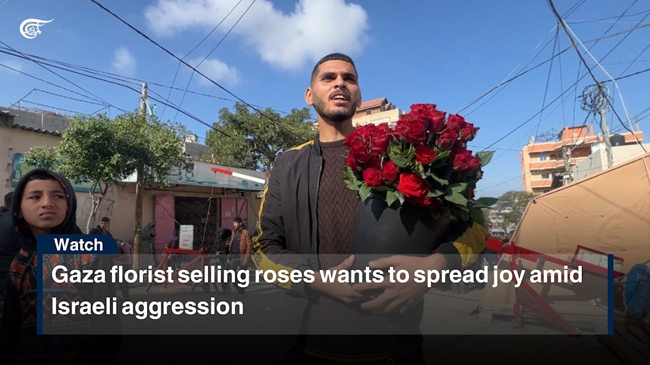 Israeli Roses Gaza florist selling roses wants to spread joy amid Israeli aggression ...