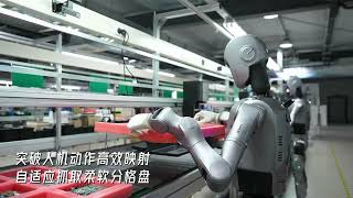 DOBOT robotics humanoid robot handles complex tasks