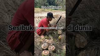 Sesibuk Apa Kamu Di Duniaustadzadihidayat