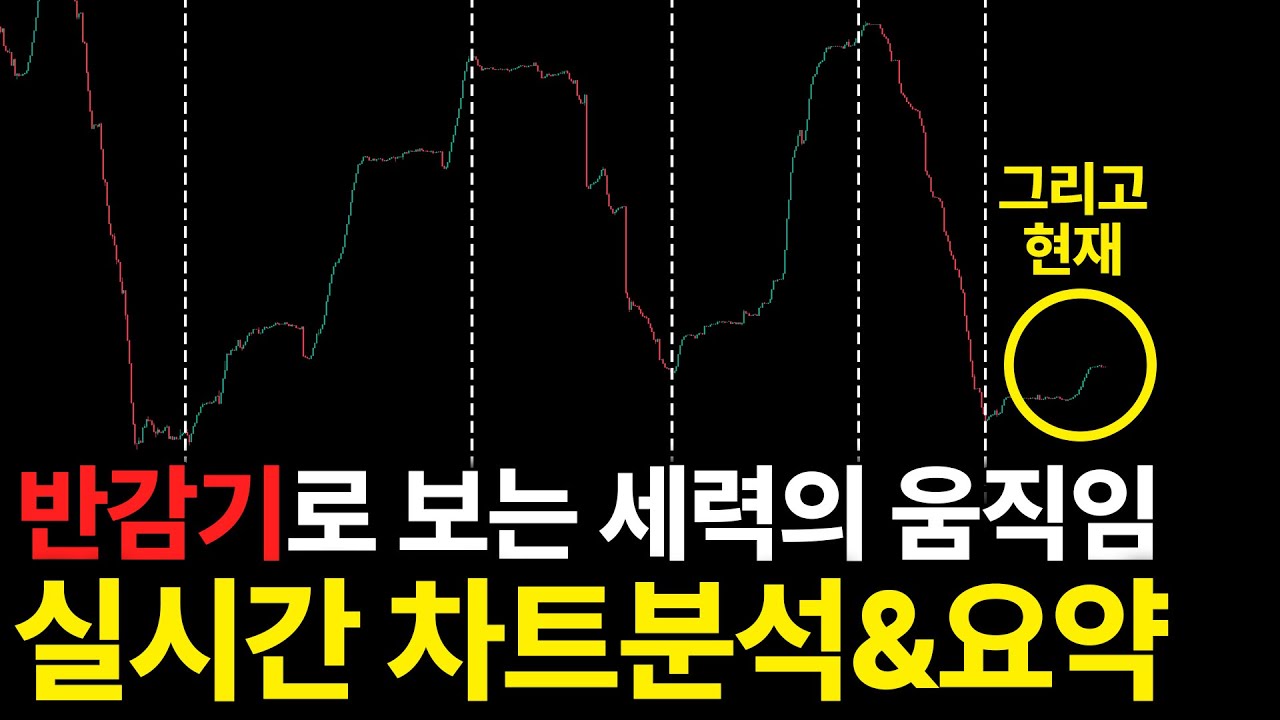 비트코인 반감기로 보는 현재 가능성 : 고점이 아직 아니다