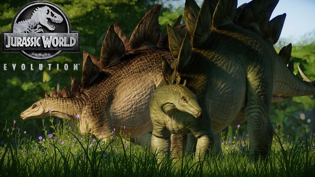 stegosaurus evolution