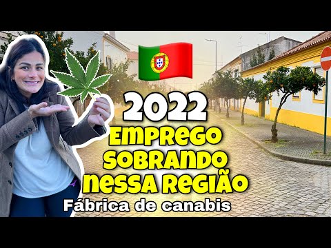 TEM MUITO TRABALHO EM PORTUGAL ??