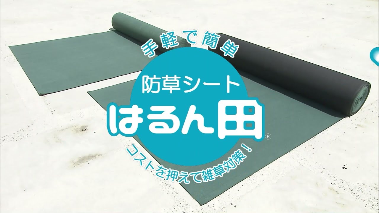 はるん田”誕生秘話 | 株式会社SUMIDA│土木建築工事設計施工・防草