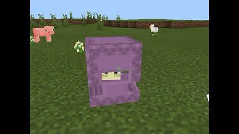 INVISIBLE SHULKER? #SHORTS