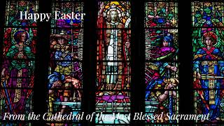 Live from the Cathedral of the Most Blessed Sacrament
