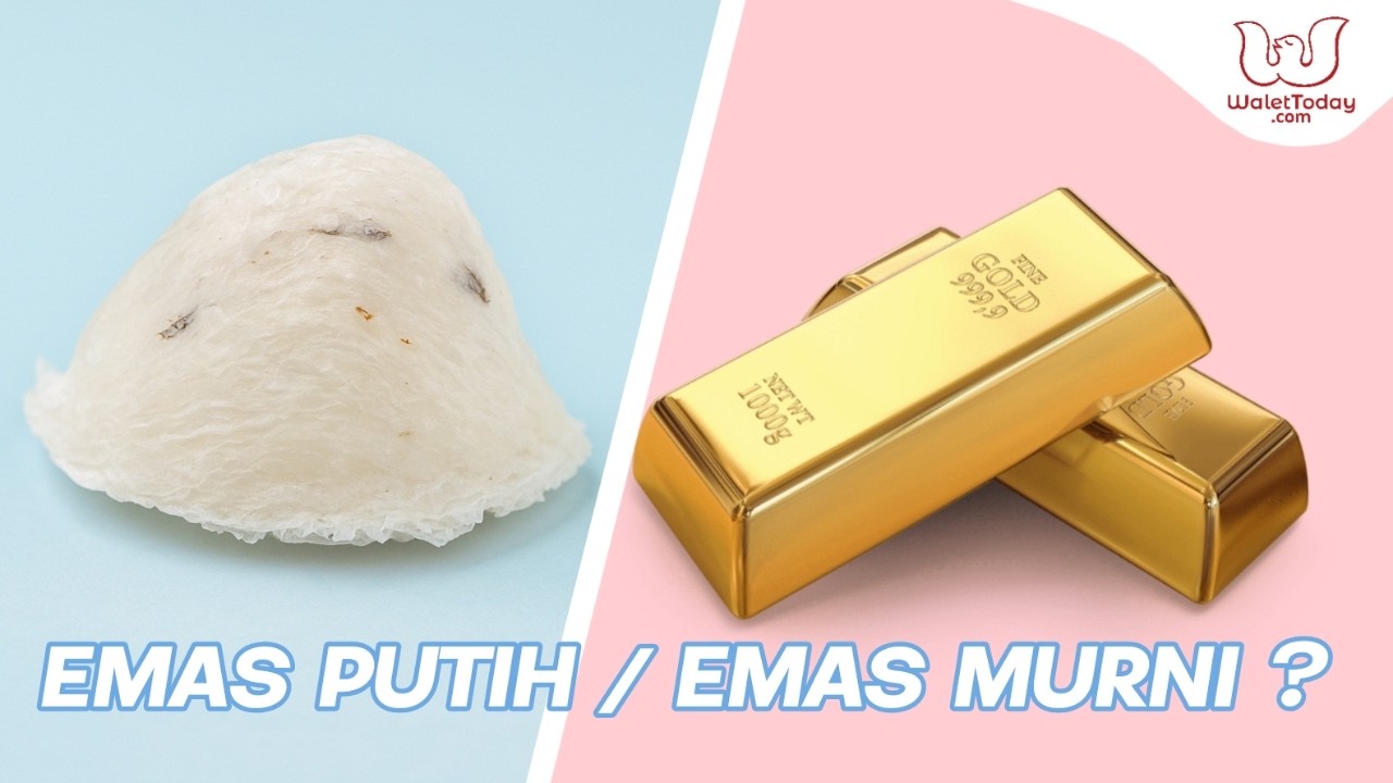 Emas Putih di Jalur Rempah