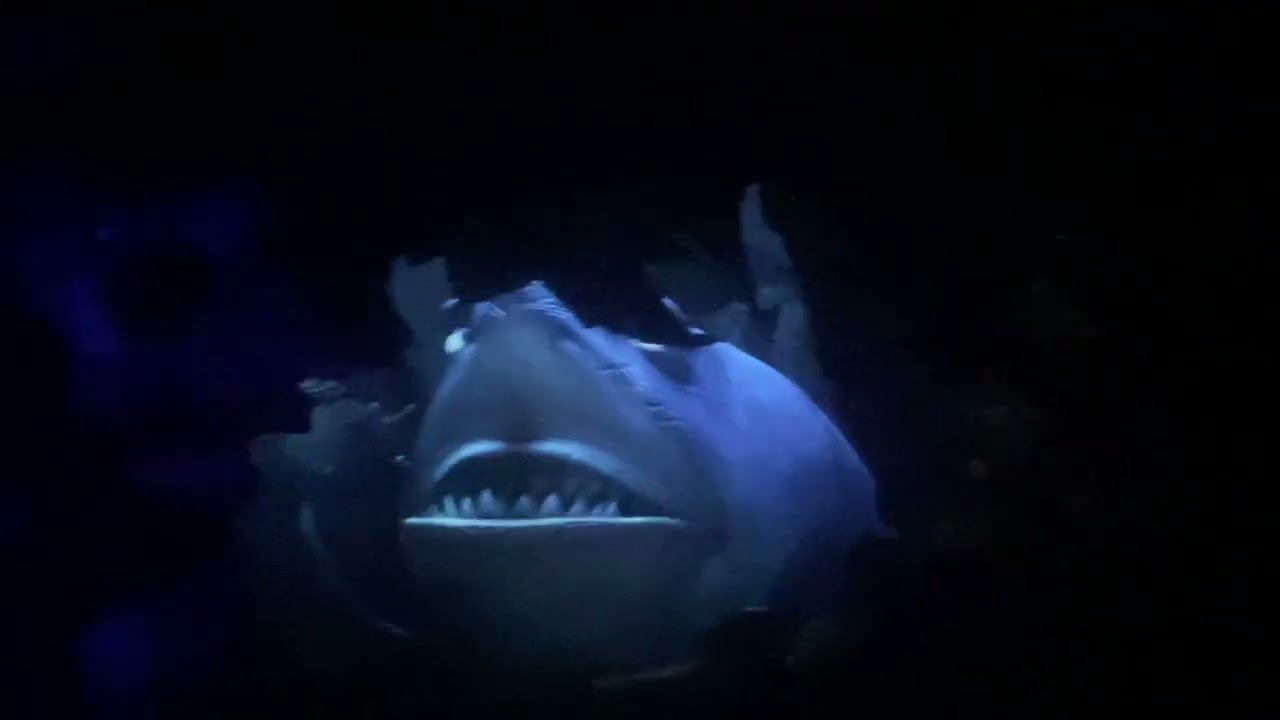 Finding Nemo Submarine Voyage Ride