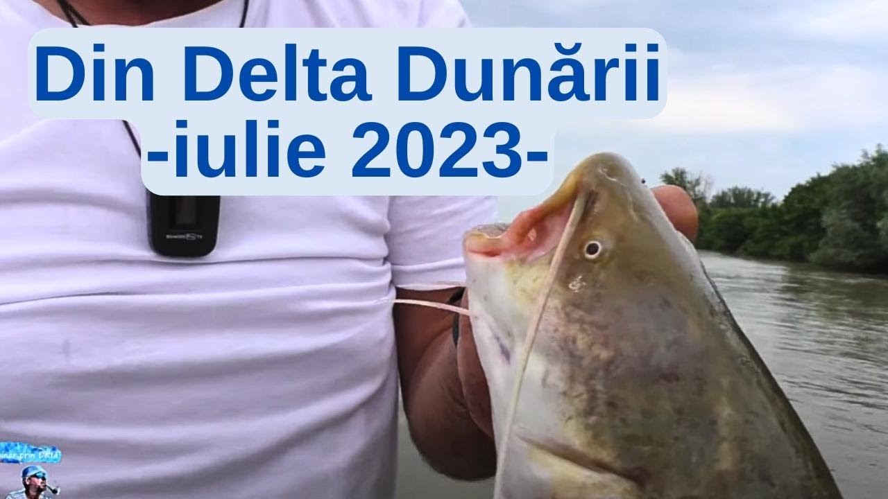 Din Delta Dunării, iulie 2023