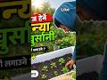 आज हेर्ने 🌱 धनिया खुर्सानी कसरी लगाउने? | Easy Farming Tips #Shorts #farmingideas #farmfolks #short
