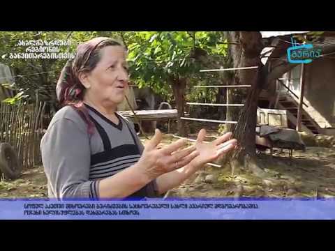 \"ახალგაზრდები რეგიონის განვითარებისთვის\" -   ბერიძეების ავარიული სახლი ქვემო აკეთში