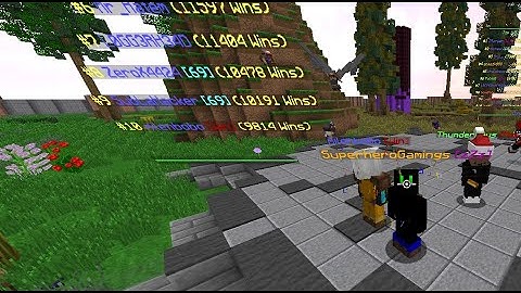 I joined zZz guild (blocksmc.com/premium.blocksmc.com)