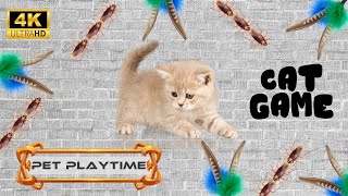 CAT GAMES  Catch the Rolling Ball, Mice, Ants, Candy, Cheese | Video for Cats | Pet Playtime
