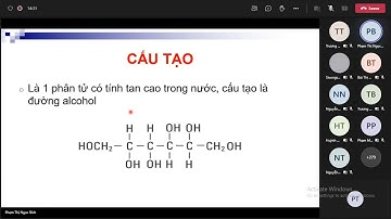 [Dược lý 1] Thuốc Lợi Tiểu, Thuốc Điều Trị Tăng Huyết Áp
