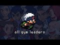 TODOS LOS LÍDERES DE GIMNASIO POKÉMON HOENN ADVENTURES