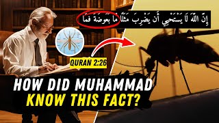 Miracle of Mosquitoes in the Quran | What Modern Science Tells Us