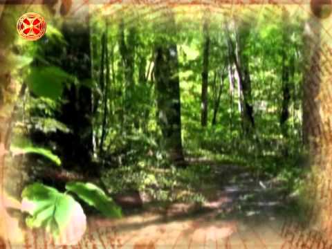 საეკლესიო კალენდარი - 5 ოქტომბერი