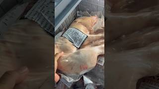 Ling Pig For Cochinillo From Spain.