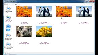 Cobra Print Viewer - copy print job, view print job images, enhanced Windows print queue management