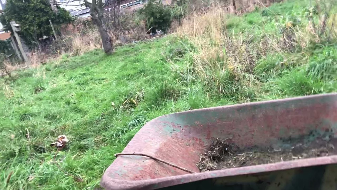 كيف تتحقق ان نضام غذاء المقنين غني (نتيجة تجربة فهم الغذاء الكامل )