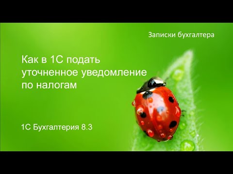 Как в 1С подать уточненное уведомление по налогам