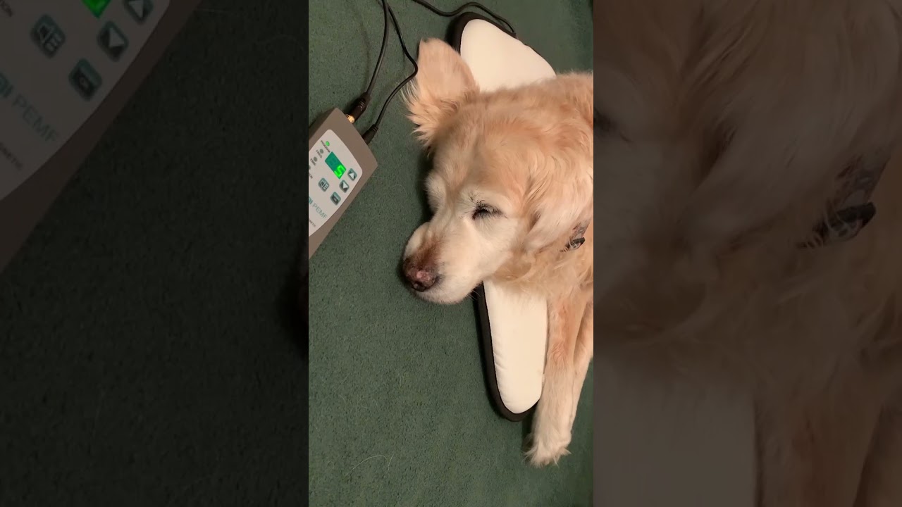 OMI PEMF Therapy Chair Mat / Mini Mat for Pets and Animals (Made 