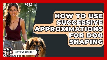 How To Use Successive Approximations For Dog Shaping - Obedient Dog Guide