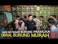 KURBAN HARGA 👈KIOS PASAR BURUNG GOKIL DEMI PELANGGAN PUAS DI PASAR BURUNG PRAMUKA HARI INI